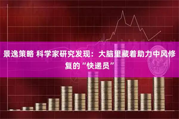 景逸策略 科学家研究发现：大脑里藏着助力中风修复的“快递员”