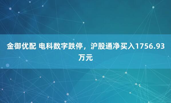 金御优配 电科数字跌停，沪股通净买入1756.93万元