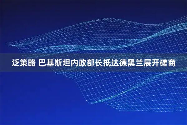 泛策略 巴基斯坦内政部长抵达德黑兰展开磋商